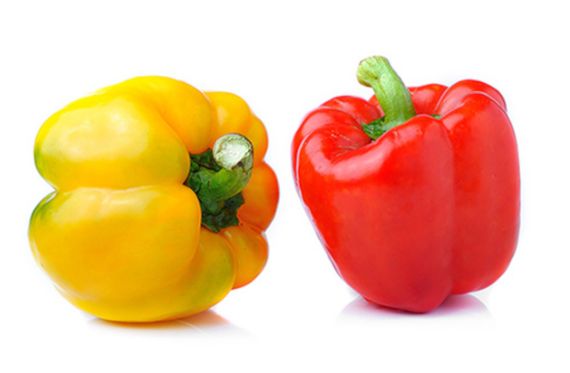 Papriky se z botanického hlediska řadí mezi ovoce Plody se semeny patří mezi ovoce