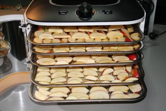 Křížaly plné vitamínů z infračervené sušičky Yden Infračervená sušička Yden pro výrobu jablečných křížal