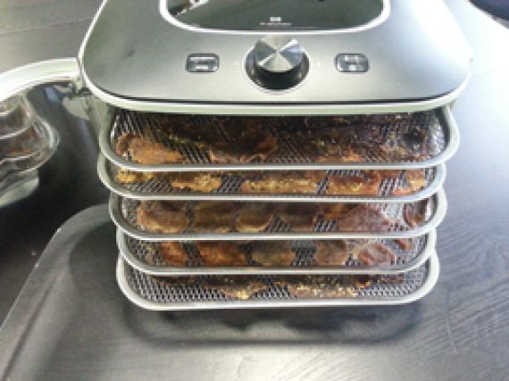 Sušička potravin Yden pro perfektně usušené jerky Domácí Jerky z infračervené sušičky potravin Yden