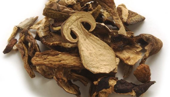 Nejlepší sušičky potravin pro domácí sušení hub Sušené houby z moderních sušiček potravin